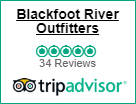 Trip Advisor